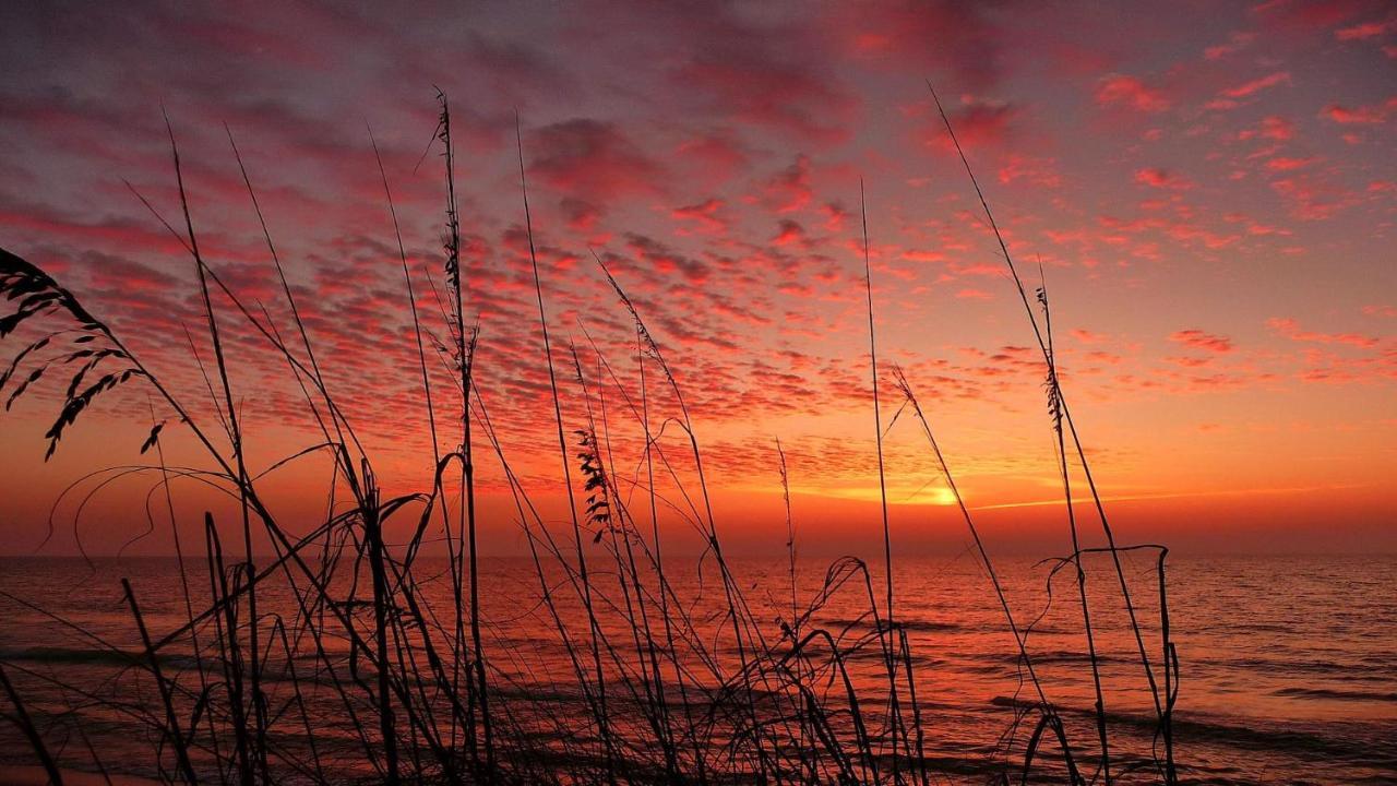 Coconut Paradise St. Pete Beach Εξωτερικό φωτογραφία