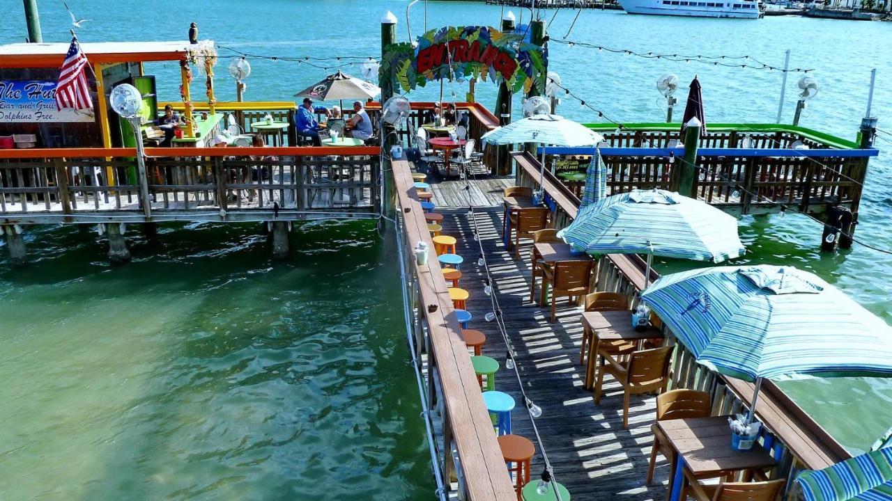 Coconut Paradise St. Pete Beach Εξωτερικό φωτογραφία