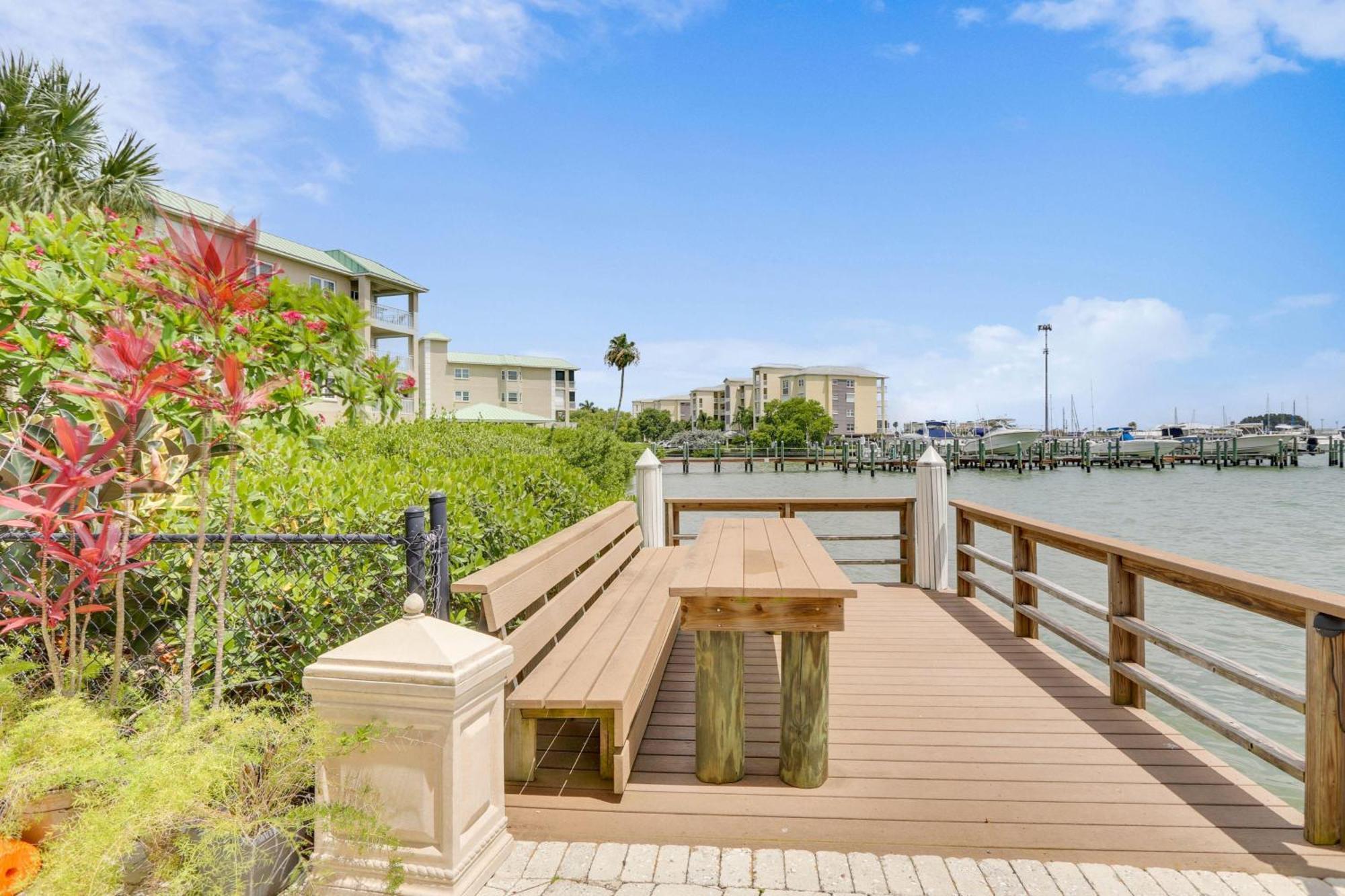 Coconut Paradise St. Pete Beach Εξωτερικό φωτογραφία